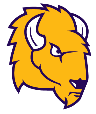 Lipscomb Bisons 2012-Pres Secondary Logo diy fabric transfer